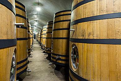 刷宝射击游戏《深空涡旋》现已推出试玩Demo 2025年第二季度抢先体验发售